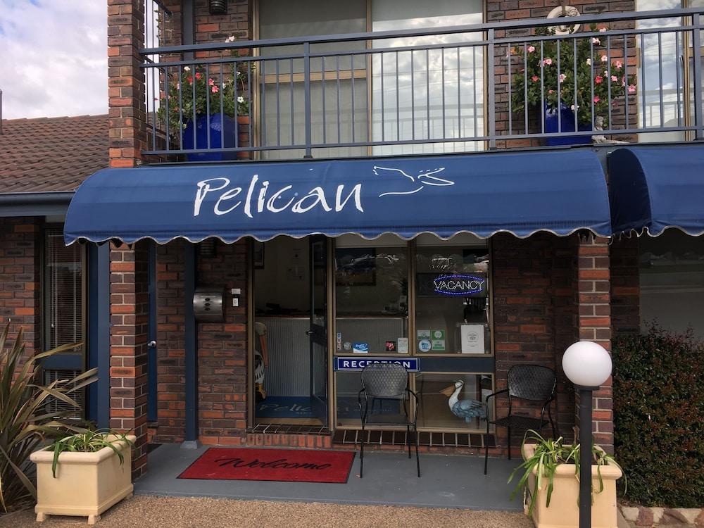 Pelican Motor