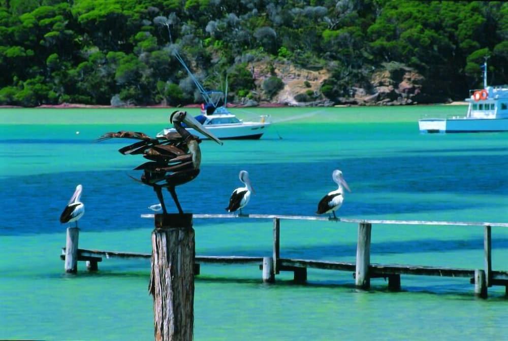 Pelican Motor Merimbula